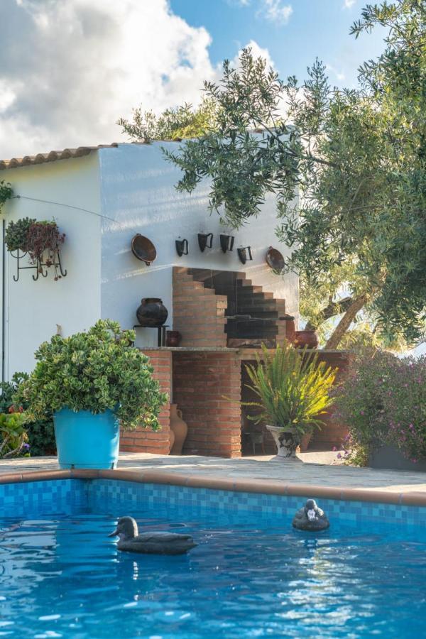 Los Cactus เอลกัสตอร์ ภายนอก รูปภาพ